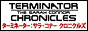 ターミネーター　サラ・コナー　クロニクルズ[土曜ドラマ]