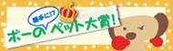 ペット大賞