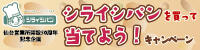 2025年10月シライシパンプレゼントCP