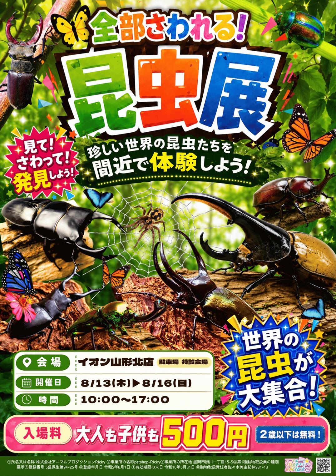 世界の昆虫大集合！ 画像