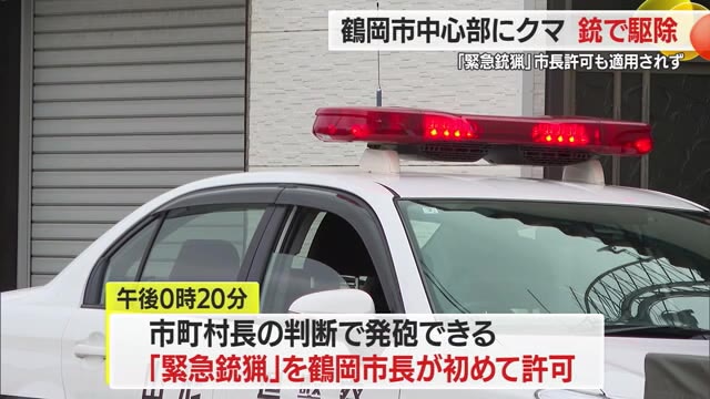 尾形乾山手控集成 下野佐野滞留期記録 尾形乾山手控集成 : 下野佐野滞留期記録(尾形乾山 著 ; 住友慎一