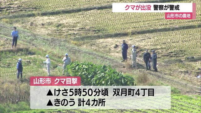 ＜クマ出没＞「サトイモ畑に入っていった」住宅街そばの農地・パトカー複数台で警戒も解除　山形市落合 画像