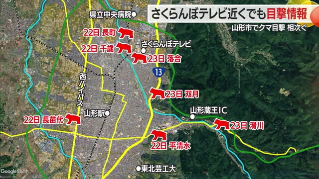 クマ目撃相次ぐ...山形市落合町・双月町・滑川地内　山沿いだけでなく住宅街にも出没　山形 画像