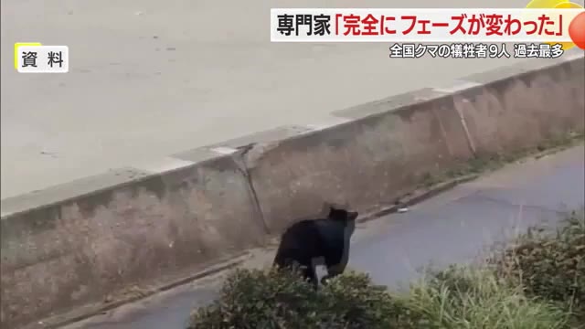 クマ人身被害「食べるためにねらう・意外と簡単に人間は倒せる」完全にフェーズ変わった...専門家語る　山形 画像