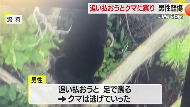 追い払おうとクマに蹴り・男性がケガ　山形・川西町 画像