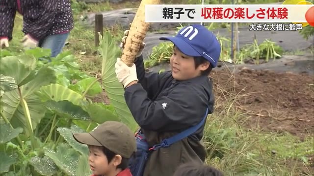 【山形】大根堀りに大興奮！親子で秋の収穫を楽しむ「農業探検隊・収穫祭」が開催 画像