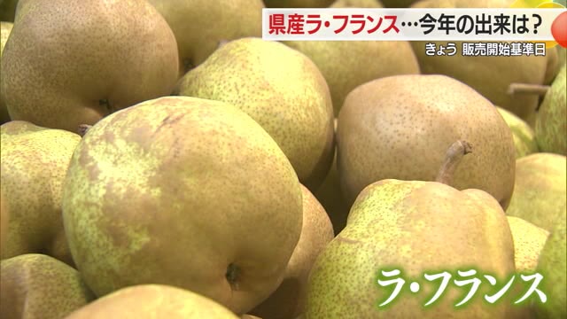 甘くておいしい「ラ・フランス」スーパー店頭に並ぶ　