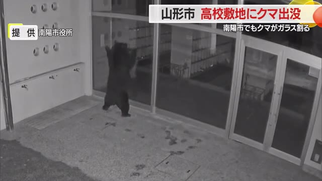 クマが赤湯小の職員玄関のガラス割る・東海大山形高でネットによじ登る　臨時休校・短縮授業など対応　山形 画像