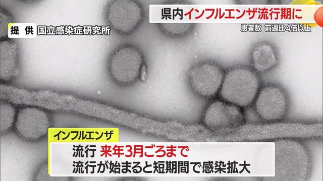 3週早くインフルエンザ流行期入り　患者数146人（前週比+114人）4倍以上増加・予防徹底を　山形 画像