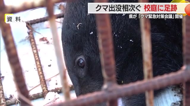 クマ出没「災害級」　体当たりでガラス割られた赤湯小のグラウンドに今度は足跡　県が緊急対策会議　山形 画像