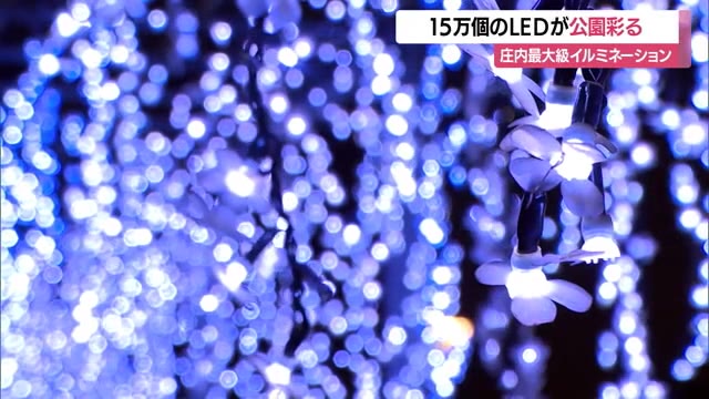 まるでフジの花が咲いてるよう・15万個のLEDが彩るイルミネーション　山形・鶴岡市藤島歴史公園 画像