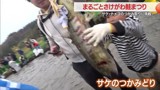 村のシンボル・サケを満喫する「まるごとさけがわ鮭まつり」　山形・鮭川村 画像