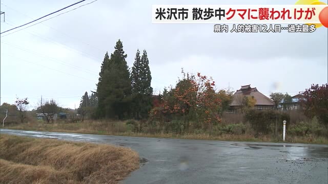 散歩中の男性クマに襲われケガ・クマは柿の木がある茂みから出てきた...人的被害過去最多　山形・米沢市 画像