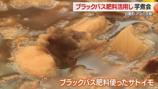 アユの天敵・ブラックバスで育てたサトイモで芋煮会　外来種駆除と環境保全を両立　山形・白鷹町 画像