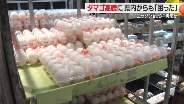 タマゴ高騰に困惑の声...物価高・流通・鳥インフルエンザの影響　クリスマス前にエッグショック再来か　山形 画像