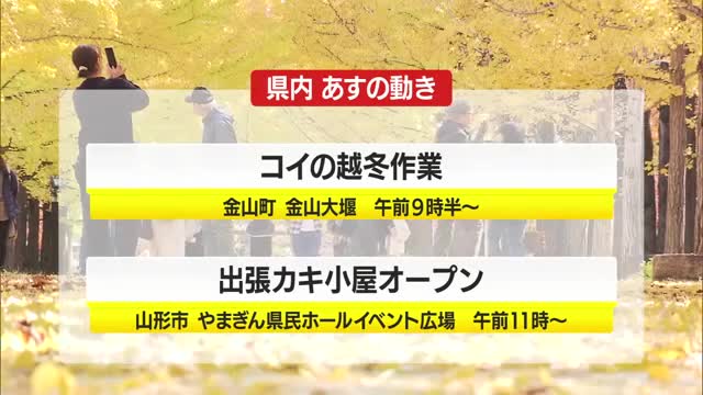 ＊11月14日（金）の山形県内の主な動き＊ 画像
