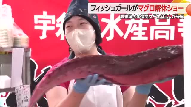 愛媛の女子高生がマグロ解体ショー　売り場を盛り上げる「きょうはマグロざんまい」　山形・寒河江市 画像
