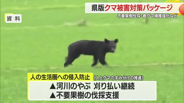 山形県版「クマ被害対策パッケージ」不要果樹伐採支援・春グマ捕獲強化など・山形 画像