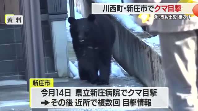 体長50センチ・60センチの子グマか...川西町・新庄市で目撃「駐車場を走って横切った」　山形 画像