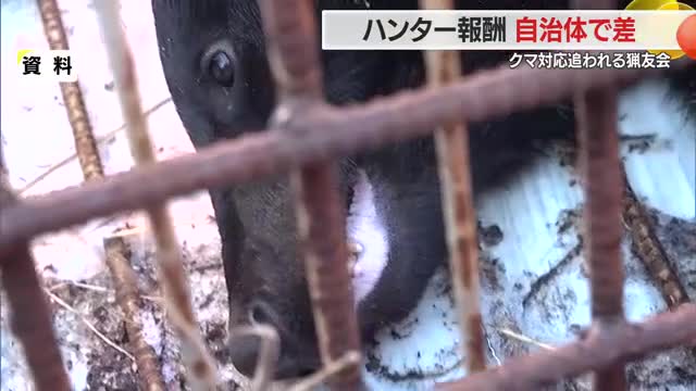 6倍の差も...クマ駆除・捕獲報酬　猟友会・ハンターの報酬は自治体により差大きい　山形・FNNアンケート 画像