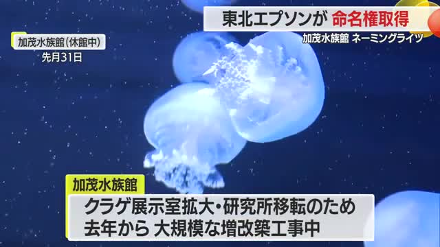 加茂水族館ネーミングライツ・東北エプソンが命名権取得　「東北エプソンアクアリウムかもすい」に　山形 画像