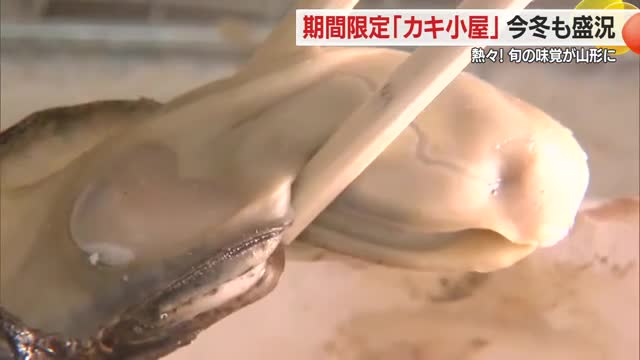 アツアツ・ぷりぷり！　宮城の旬の味覚・カキを味わう　期間限定「出張カキ小屋」11月30日まで　山形 画像