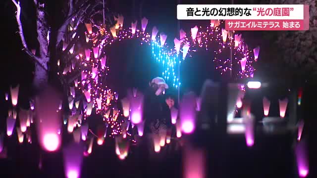 9万個のLEDが音楽に合わせ色とりどりにきらめく光の庭園・サガエイルミテラス　山形・寒河江市 画像