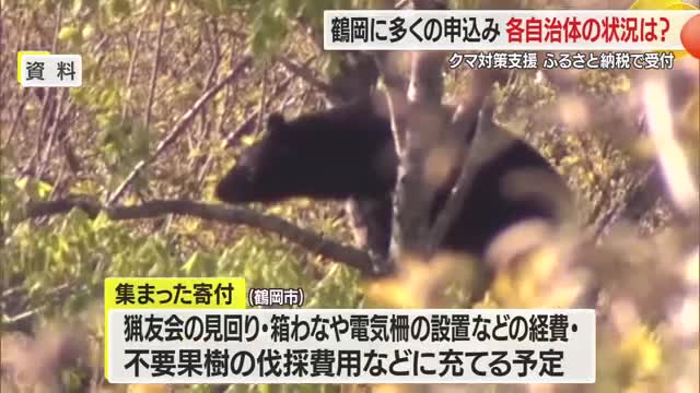 クマ対策支援ふるさと納税・鶴岡市に多くの申し込み...1週間で131件・85万4000円　山形 画像