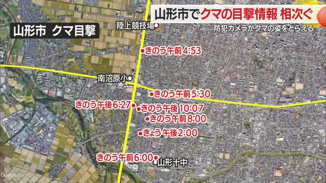 防犯カメラに映った黒い物体はクマ「まさか家にやってくるとは」…住宅・学校敷地内でクマ目撃相次ぐ　山形 画像