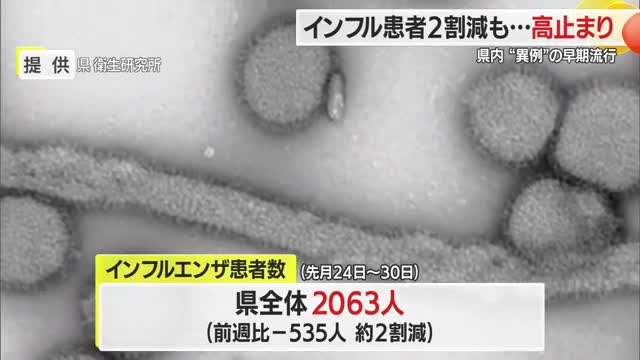 ＜インフルエンザ＞患者数2063人・前週比2割減るも依然「警報レベル」　感染対策の徹底を　山形 画像