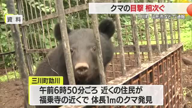 「雪が降ってもクマ出没のおそれあり」　三川町・山形市・鶴岡市でクマ目撃情報　山形 画像