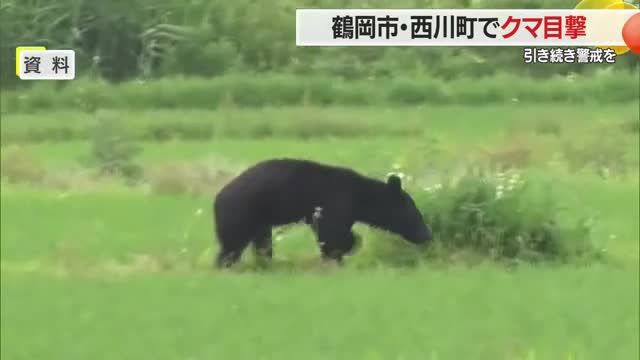 鶴岡市・西川町でクマ目撃...コミュニティセンターや中学校そばに出没　引き続き注意・警戒を　山形 画像