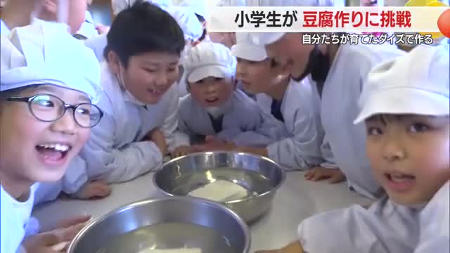 豆腐づくりに挑戦！　大豆→豆乳+おから→豆腐　野菜が食べ物になる喜びと苦労学ぶ・食育　山形・舟形町 画像