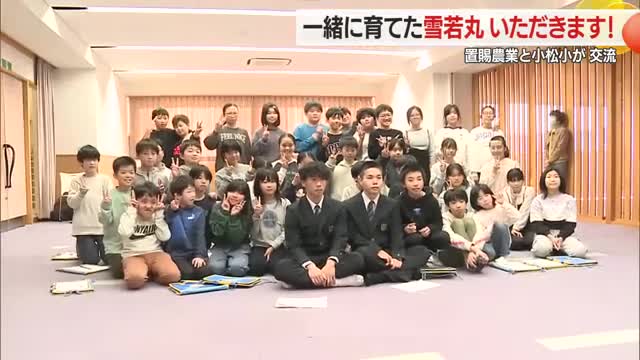 一緒に育てた雪若丸「いただきます！」　置賜農業高と小松小がコメ作り通して交流　山形・川西町 画像