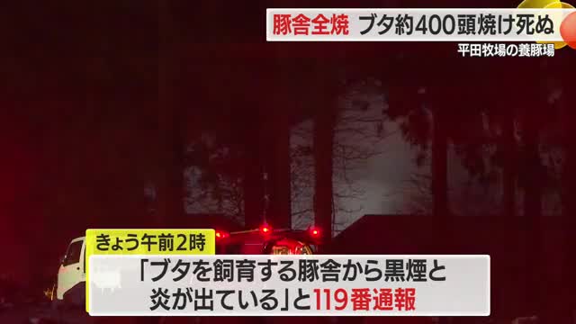 ブタ400頭焼け死ぬ...平田牧場の養豚場で火災・第一農場豚舎1棟が全焼　山形・酒田市山楯 画像