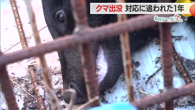 《あのニュースの今2025》クマ出没　対応に追われた1年・自治体ごとに新たな取り組みも始まる　山形 画像
