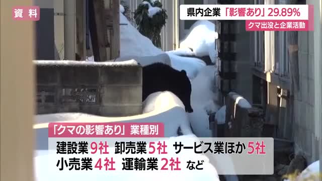 約30％の企業「クマ出没が企業活動に影響した」と回答　山形・東京商工リサーチ山形支店調べ 画像