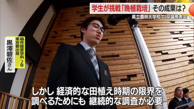 「コメの晩植栽培」の成果に注目集まる・卒業論文発表会...7月の晩植栽培は減収　山形・県立農林大学校 画像