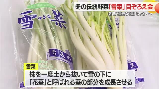 冬の伝統野菜「雪菜」の出来栄えを確認・漬物など試食も　上質な生育のためには雪が...　山形・米沢市 画像