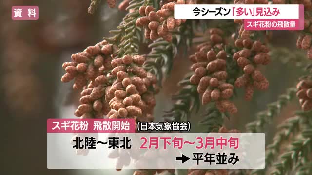 2026年春のスギ花粉の飛散量は？　日本気象協会が「飛散予測」　山形 画像