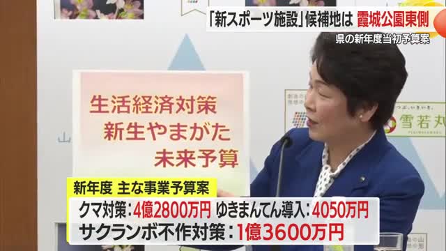 スケート場含む「新スポーツ施設」候補地は霞城公園東側の広場含むエリア　新年度当初予算案内示　山形 画像