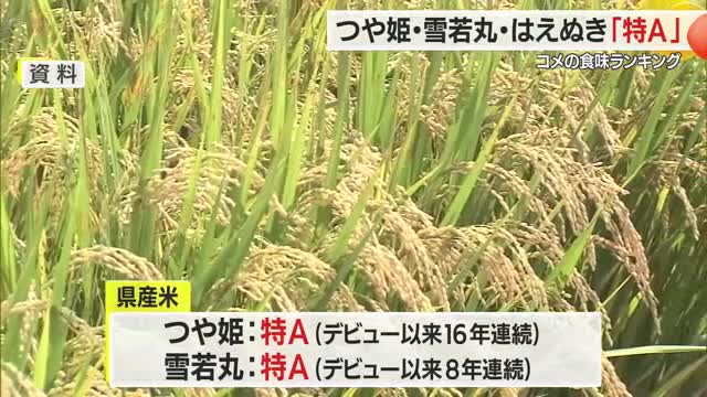 県産米の特A獲得数「5つ」は全国1位・コメの食味ランキング　つや姫・雪若丸・はえぬきも特A　山形 画像