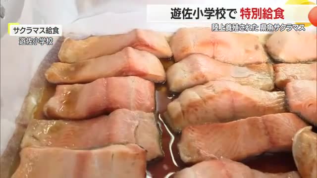 間引き魚の県魚「サクラマス」給食で提供　郷土の味と地元産業を子どもたちに伝える　山形・遊佐町 画像
