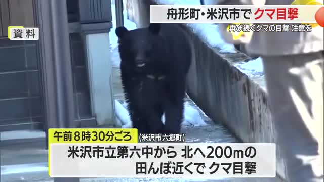 【クマ】再び相次ぐ目撃...舟形町・米沢市で出没　3～4月に冬眠から目覚めるため細心の注意を　山形 画像