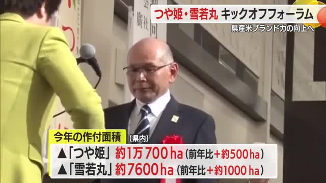 「つや姫」「雪若丸」トップブランド米としてさらなる認知向上目指す・2026年増産へ　山形 画像