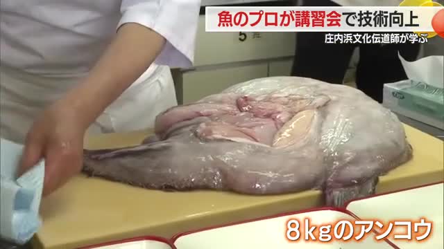 地元の魚介の魅力を次世代へ「庄内浜文化伝道師」向け調理実技講習会・山形 画像