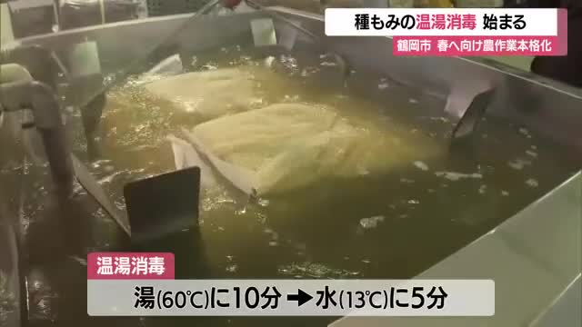 春の風物詩「種もみの消毒作業」はじまる　山形・鶴岡市 画像