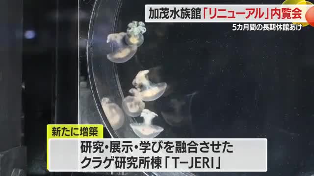 鶴岡市加茂水族館リニューアルオープンを前に内覧会　山形・鶴岡市 画像