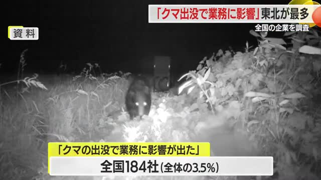 クマ出没で「業務に影響が出た企業」の割合　東北地方は約2割に上り全国最多　山形 画像