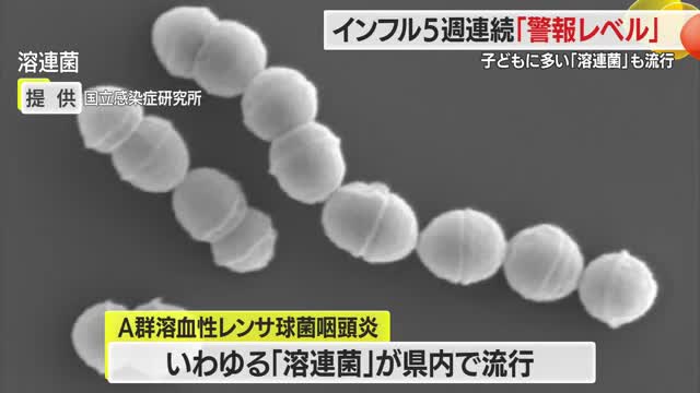 県内インフルエンザ患者数　前週から減少も5週連続「警報レベル」　「溶連菌」も流行で注意必要　山形 画像